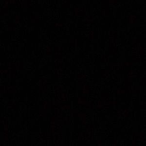 Meet your Posher, Kiley